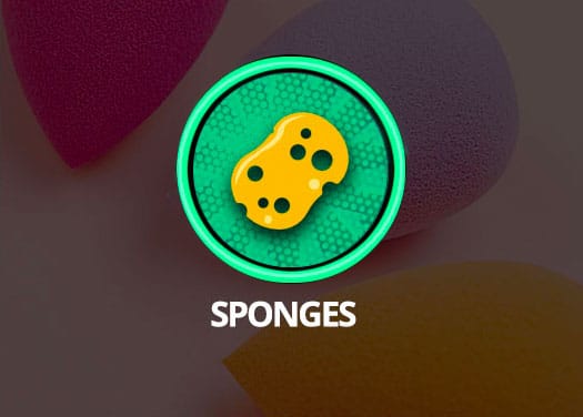 Beppy Sponges